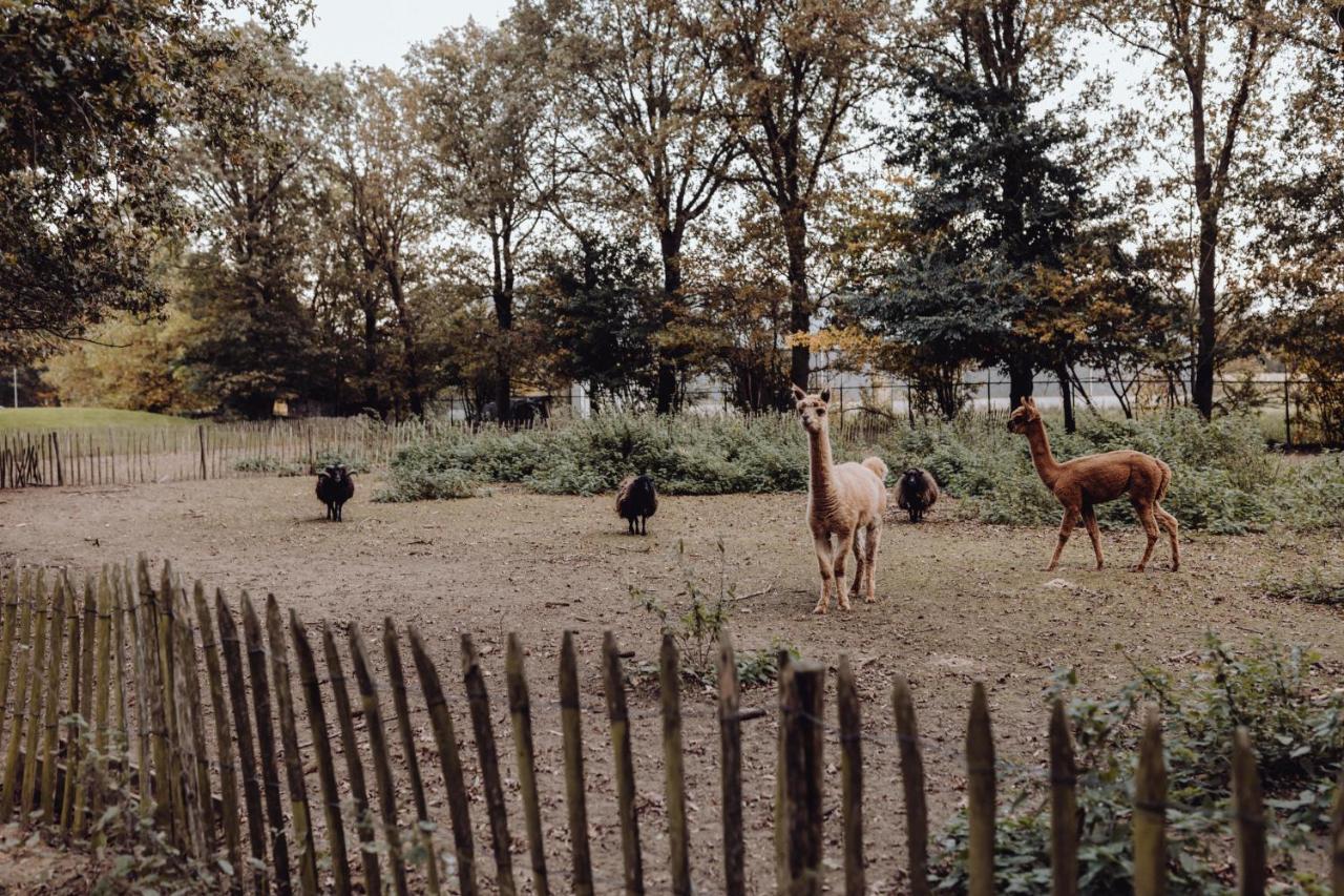 Villa Het Hilkensberg Park Broekhuizen  Esterno foto